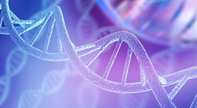 DNA Gene with light background
